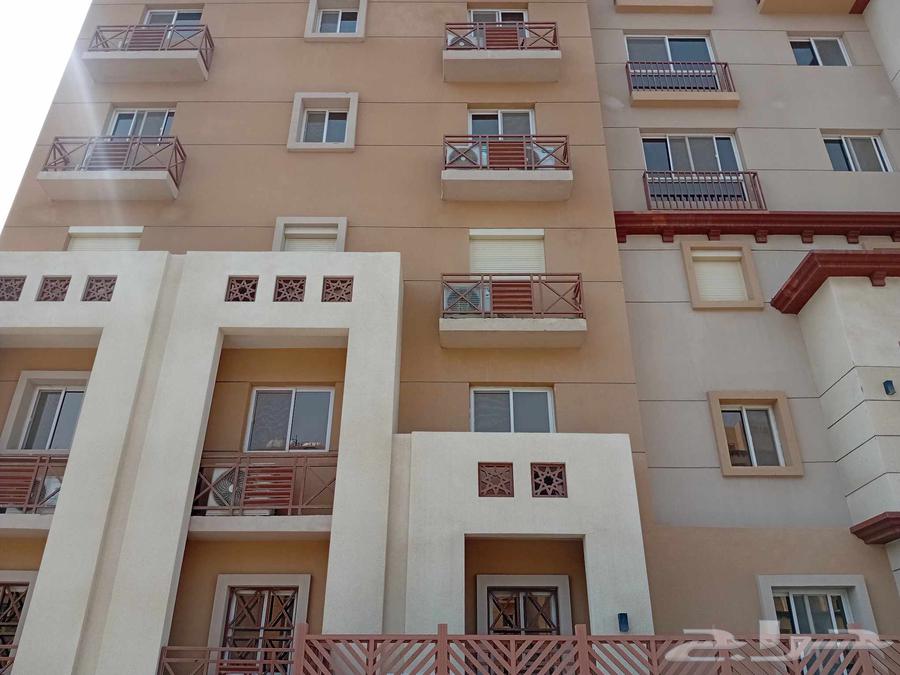 شتر اسباني سماكه 1.5 ملي مع دهان بودر كوتنج63613932527233114