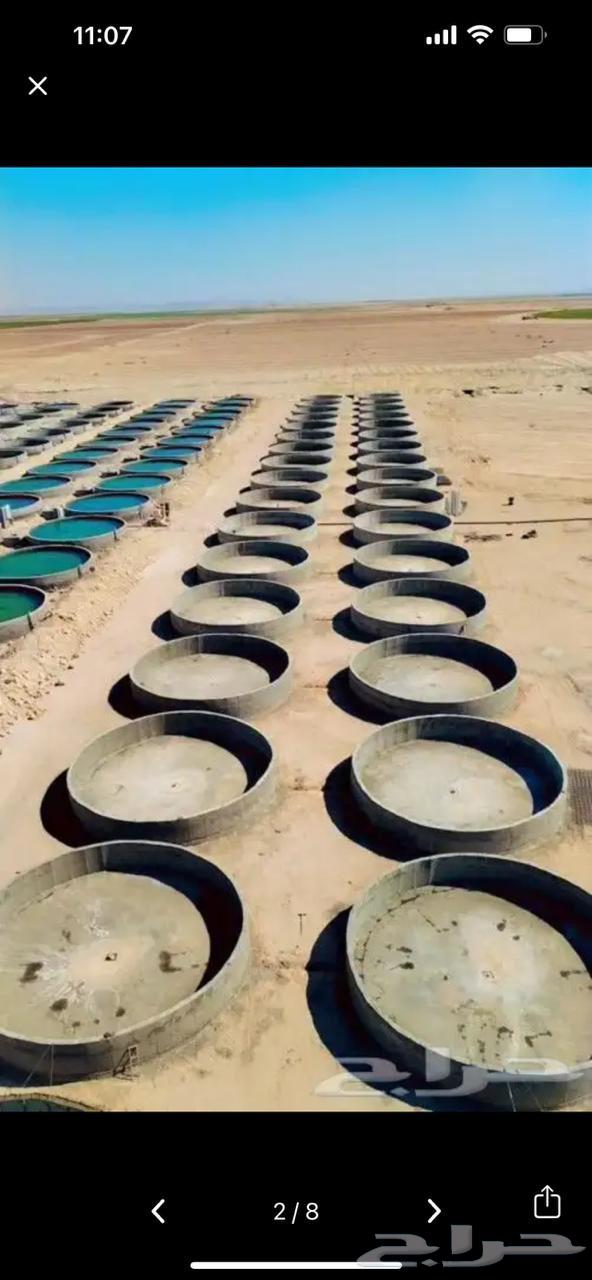 شغل حزانات سب  دايري63613933830659113