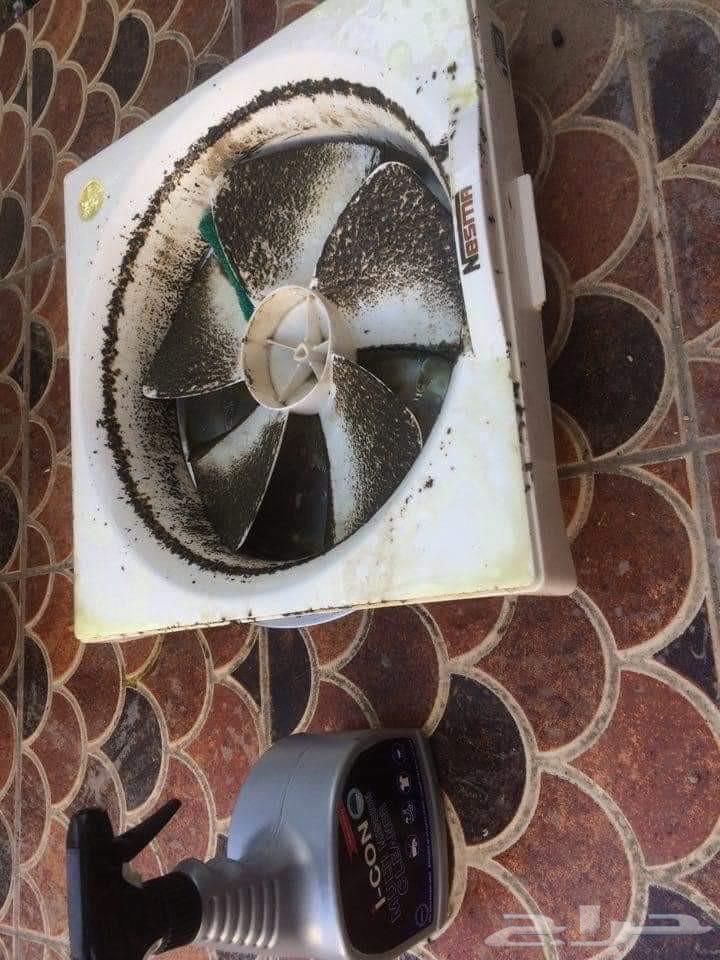 شركة نظافه عامه ورش الدفان ومكافحة الحشرات63613926782083114