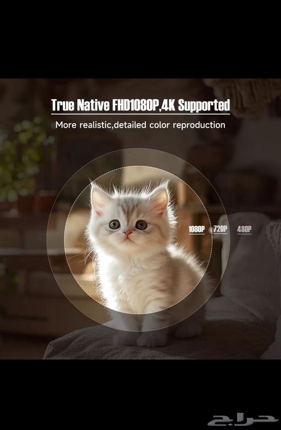 بروجكتر بنظام اندرويد64389902261507113