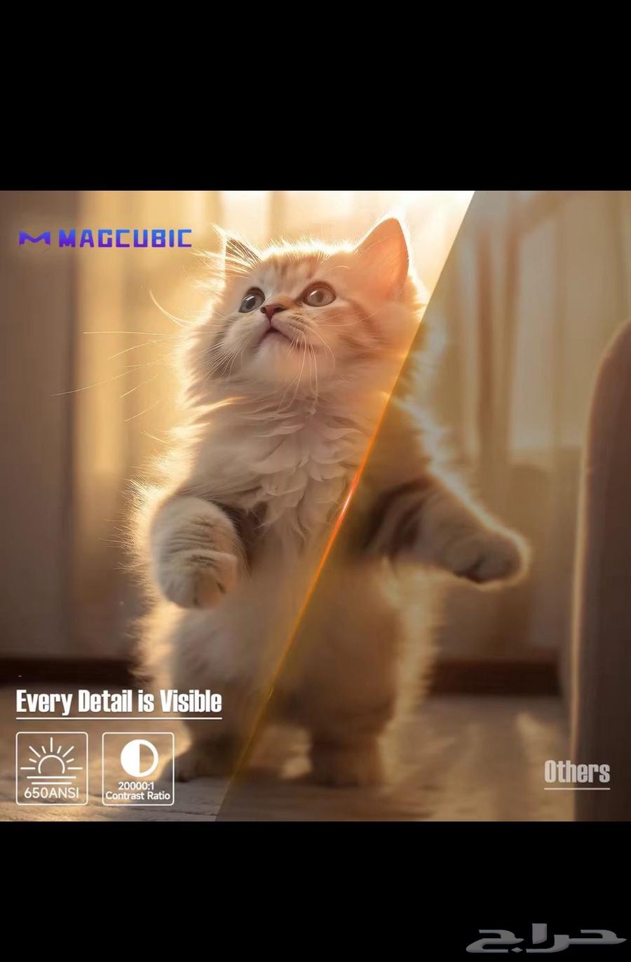 بروجكتر بنظام اندرويد64389902261507114