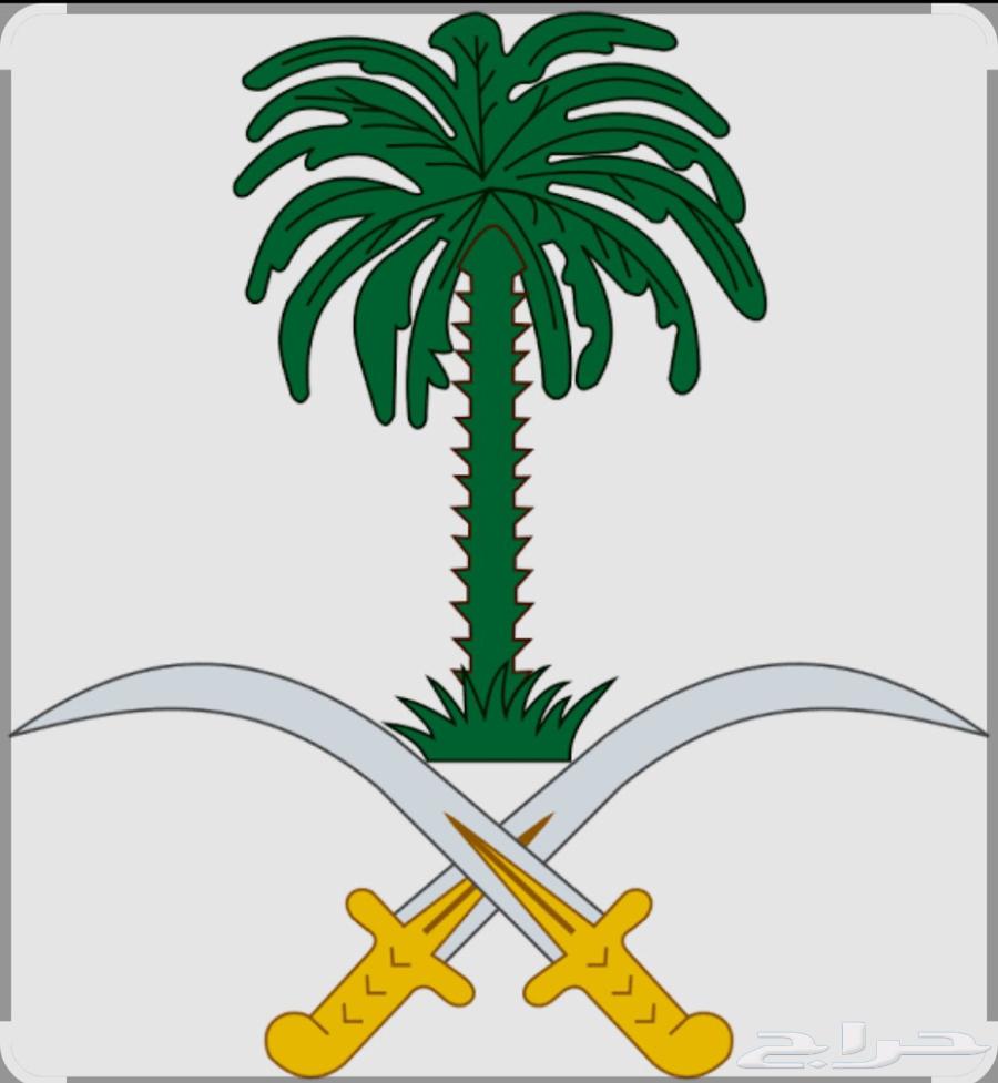 Driver in Jeddah64530008828801110