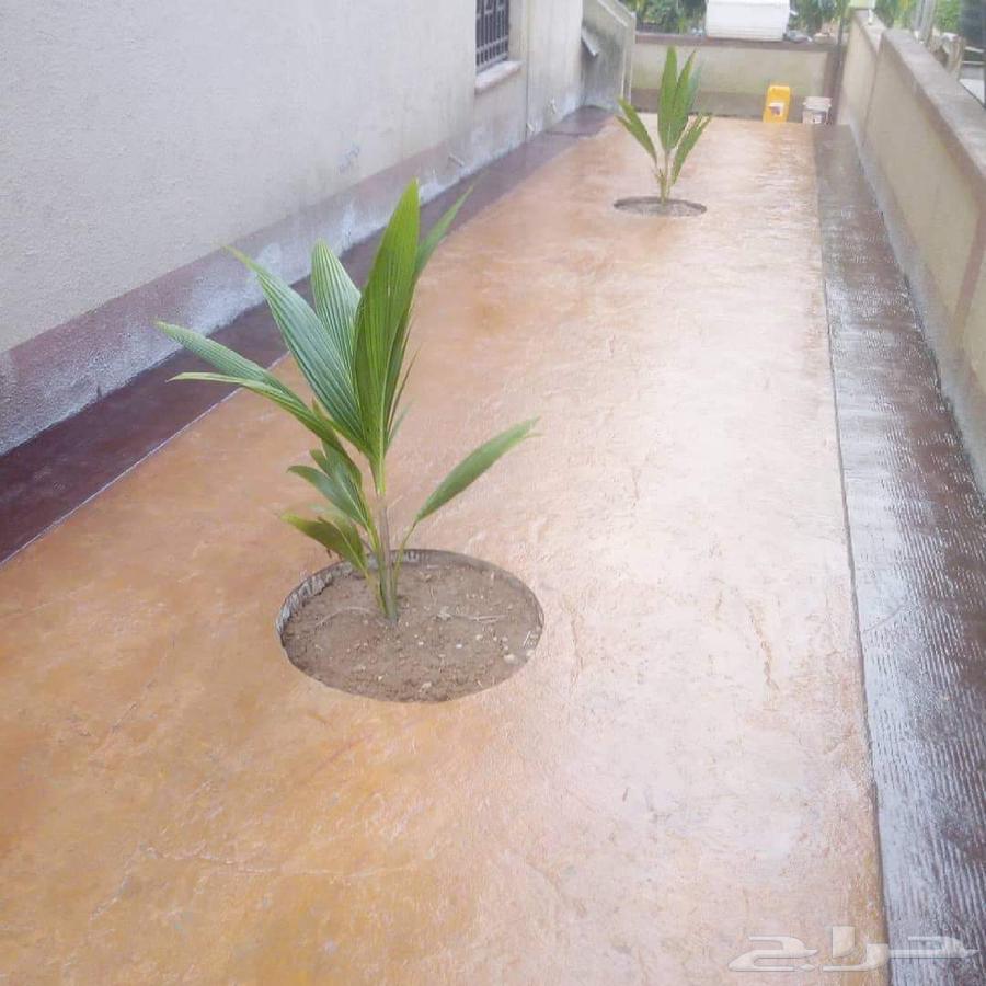 سب مروحه ميزانيه64525386460033112