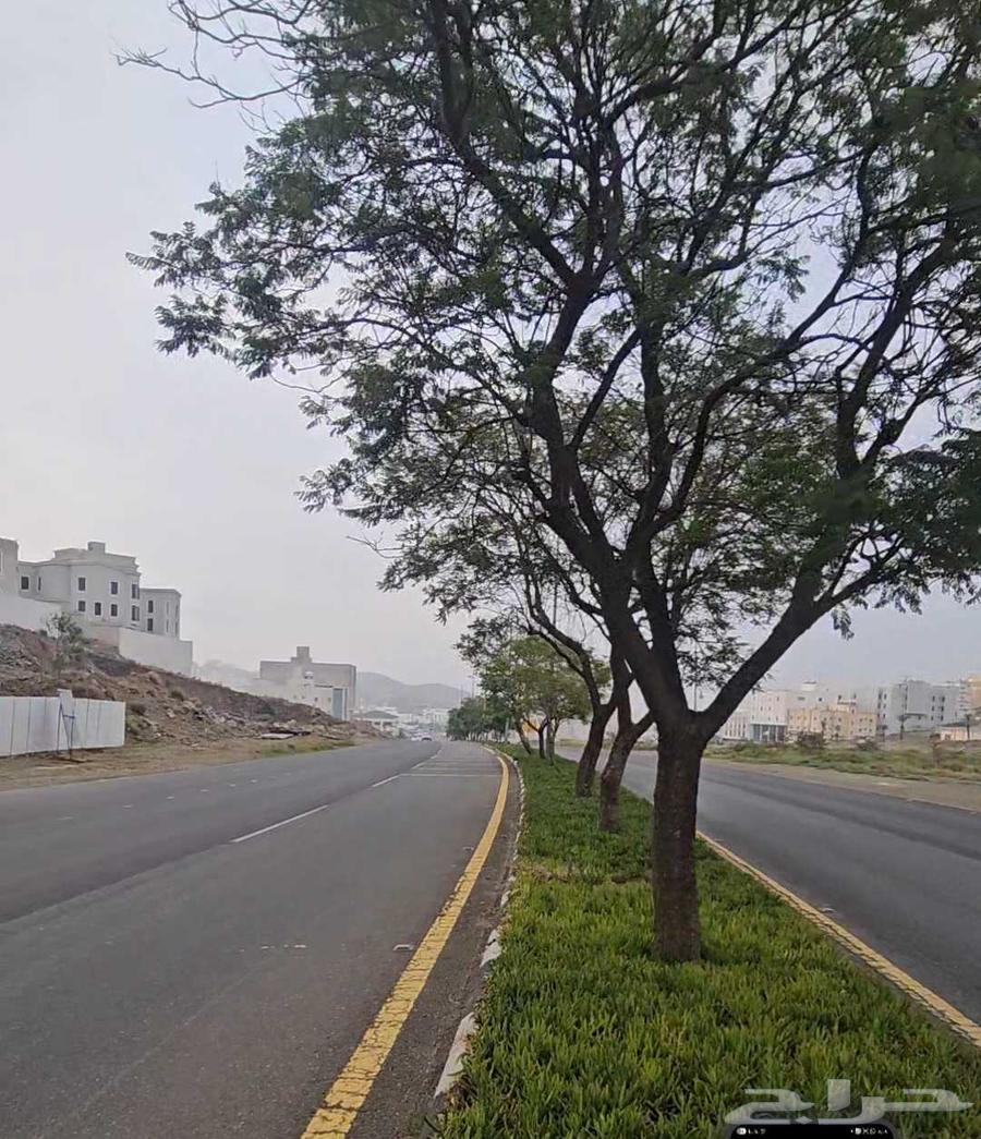 Commercial land in Abha63613878867457111