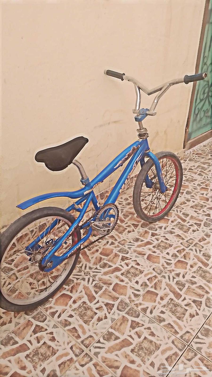 سيكل كوبرا للبيع حجم 20 جديد64386206982657111