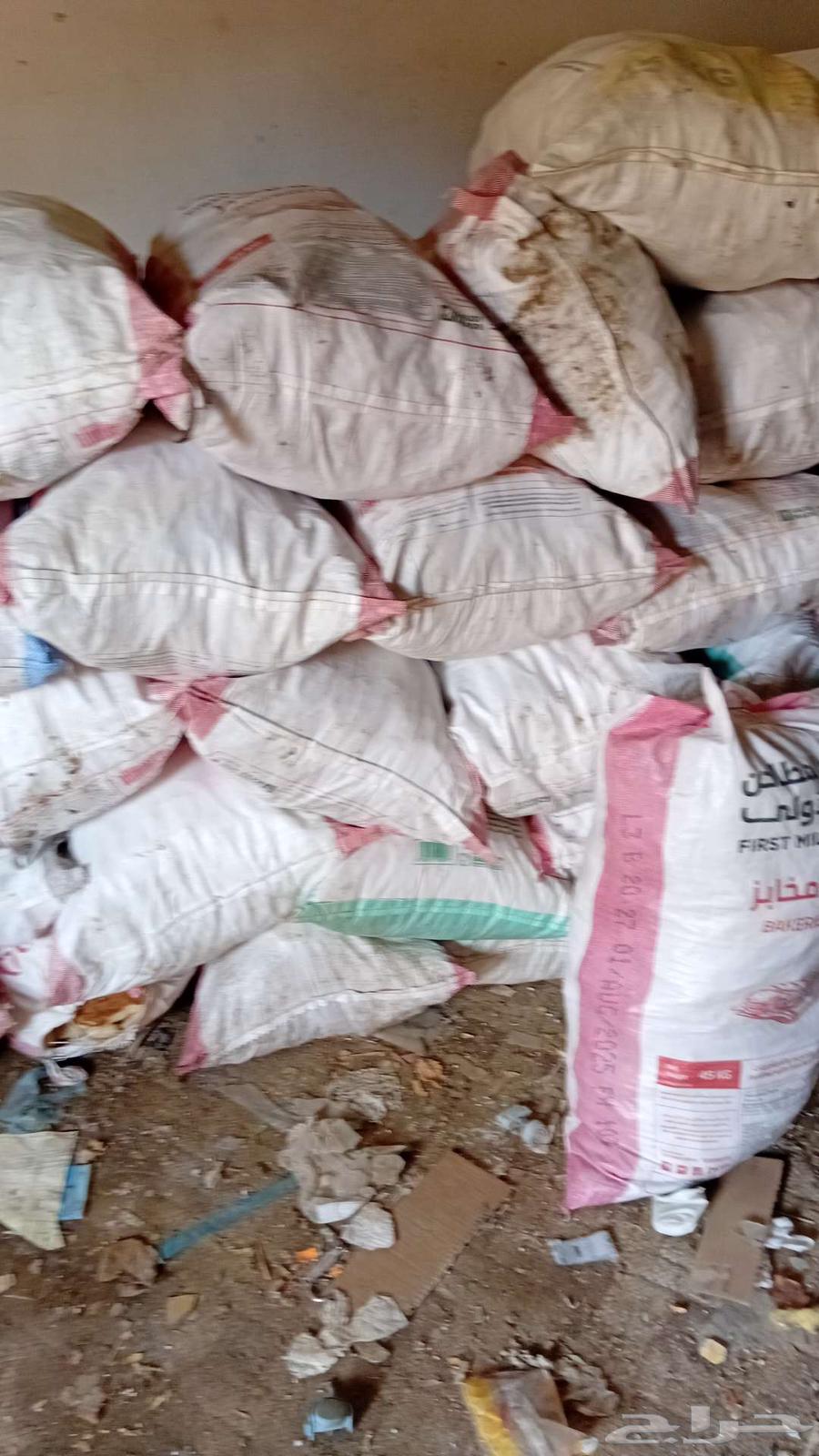 ينبع البحر64382169312001111