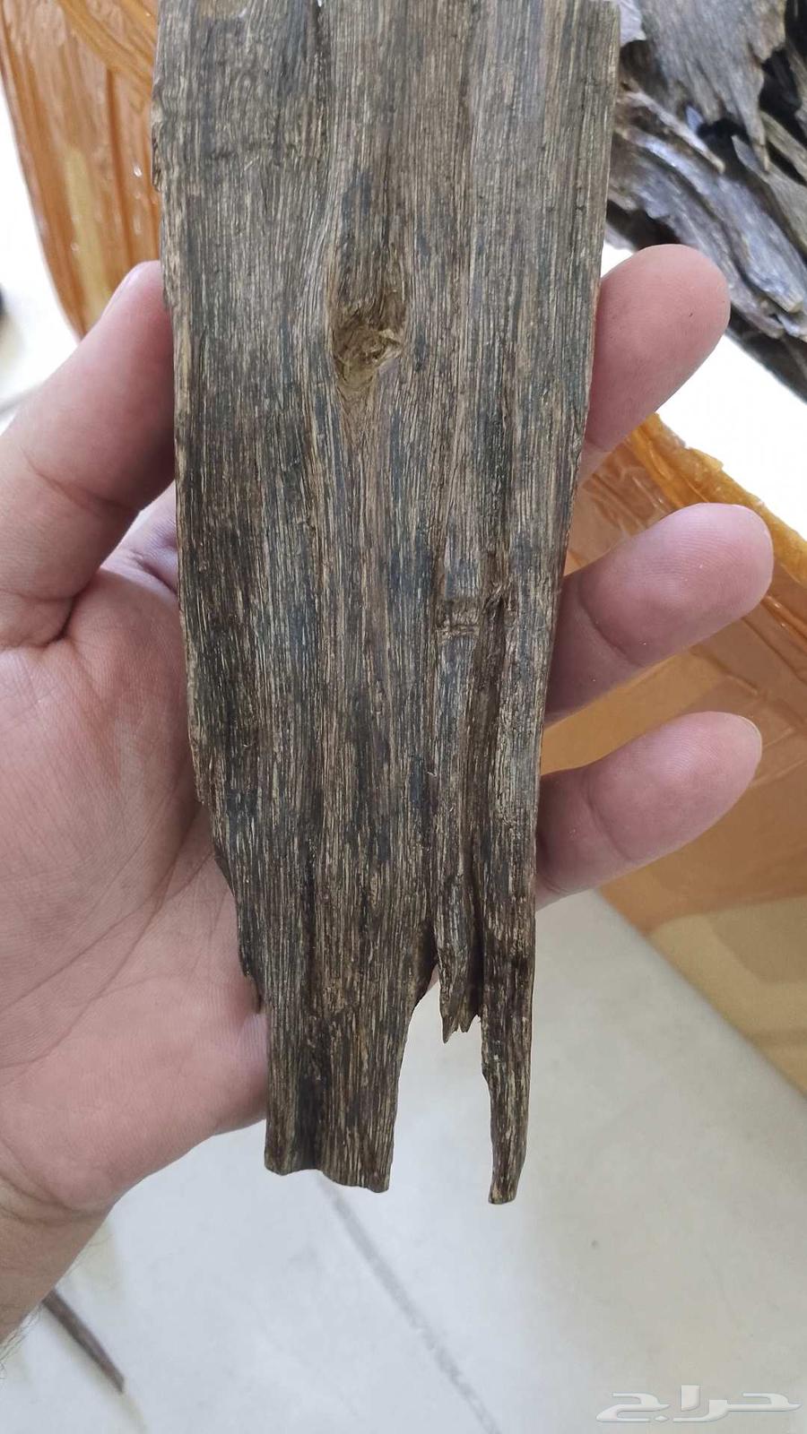 عود هندي متوفر الكيلو 3الف64385439776131111