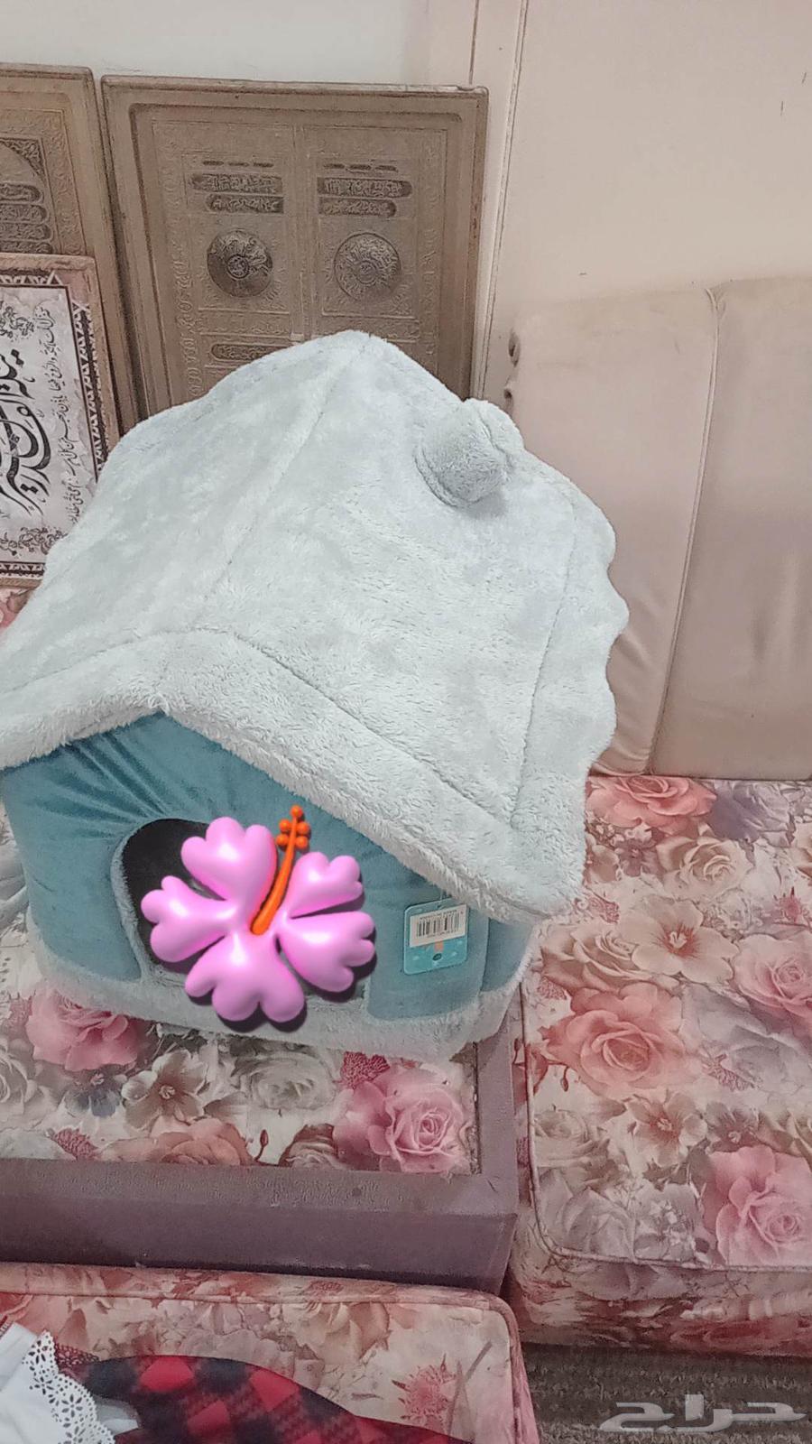 مستلزمات قطط للبيع64377988792579113