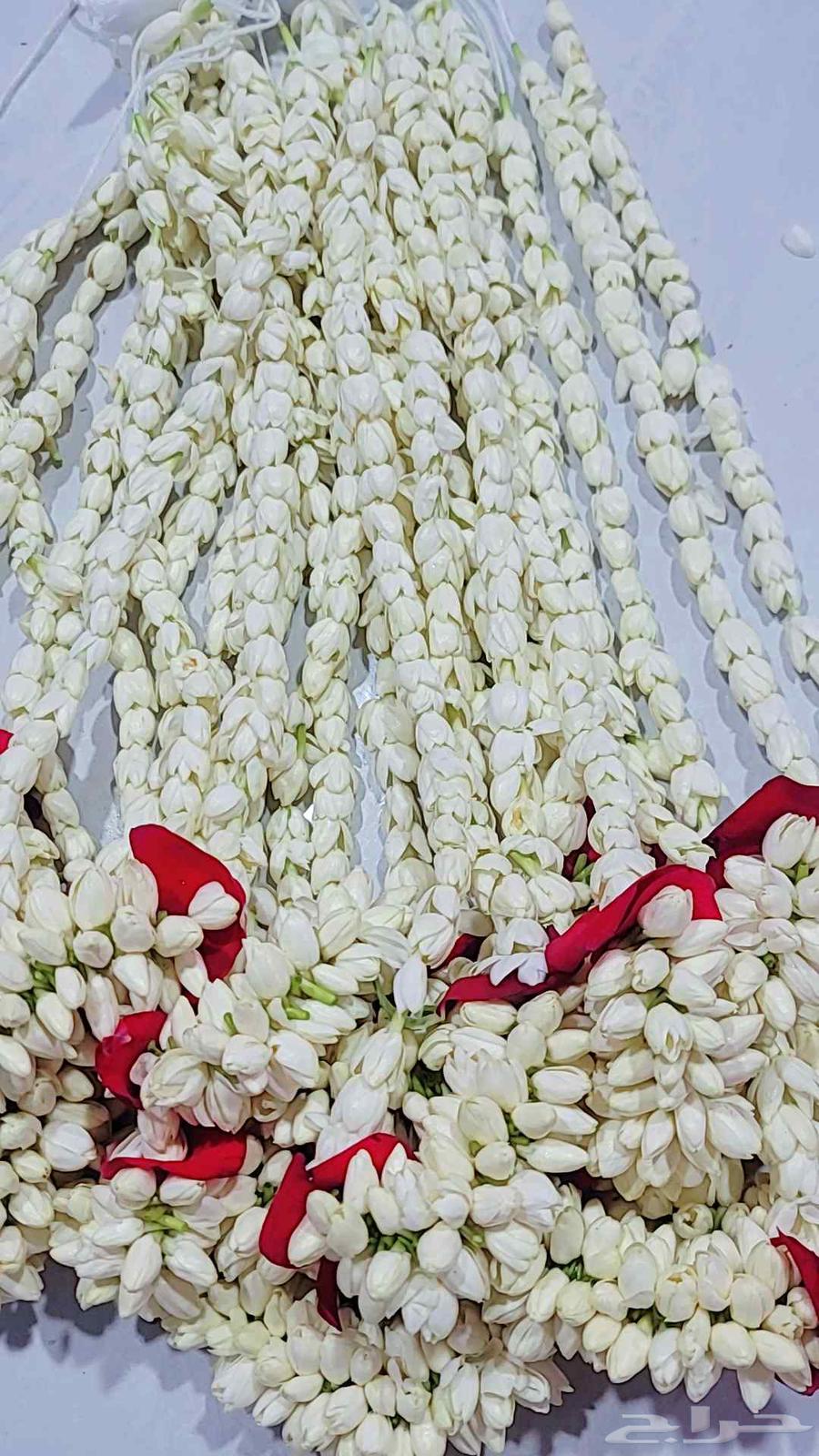 متوفر عقود_فل للمناسبات مسابح_فل بسعر الجمله64381287371265111