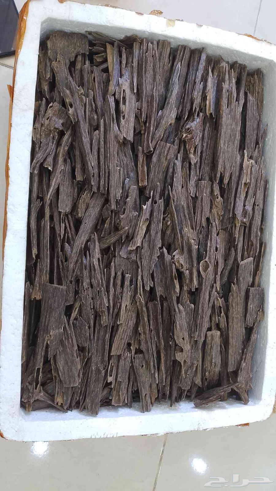 عود هندي متوفر الكيلو 3الف64385439776131112