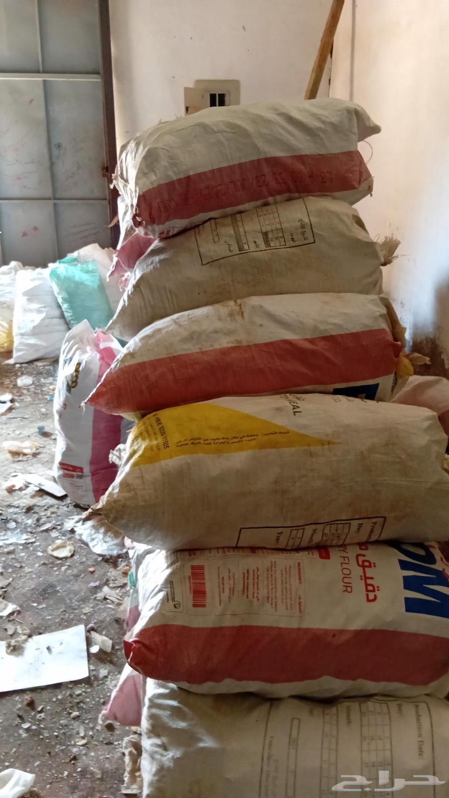 ينبع البحر64382169312001112