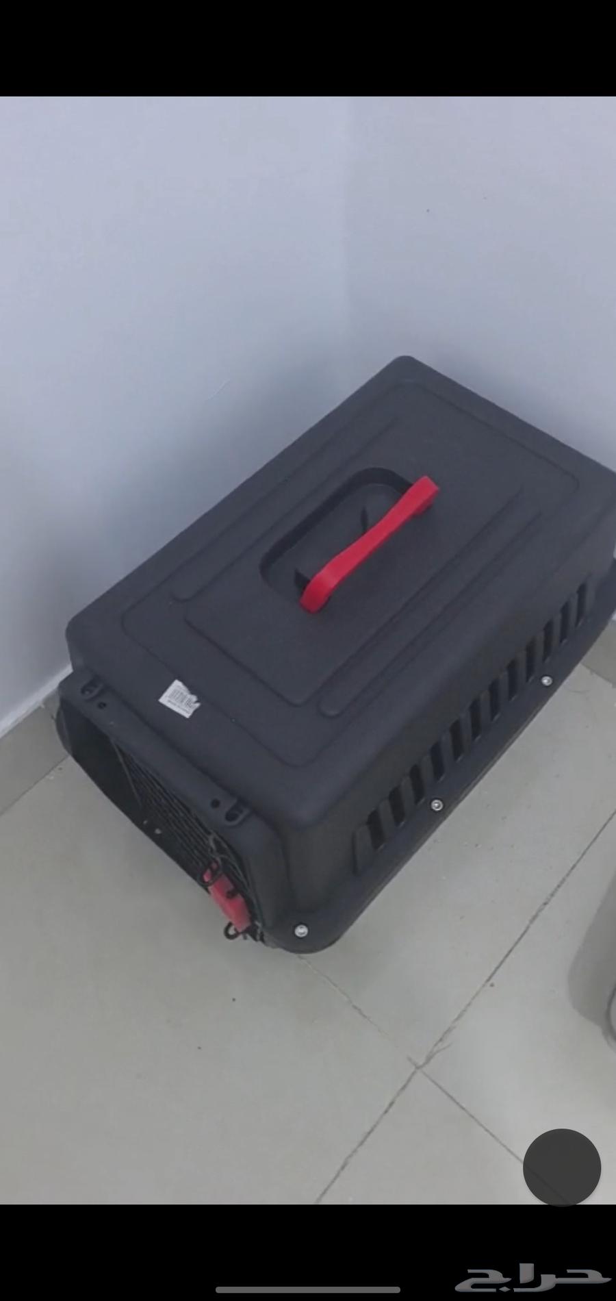 Cat items for sale, highest price64379941888899110