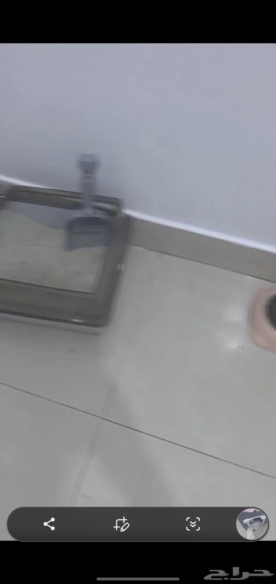 Cat items for sale, highest price64379941888899111