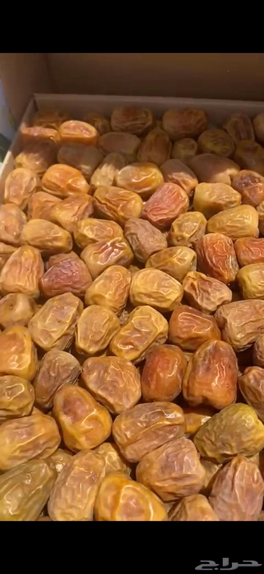 No. 1 Rebar Size 3364380374040321110