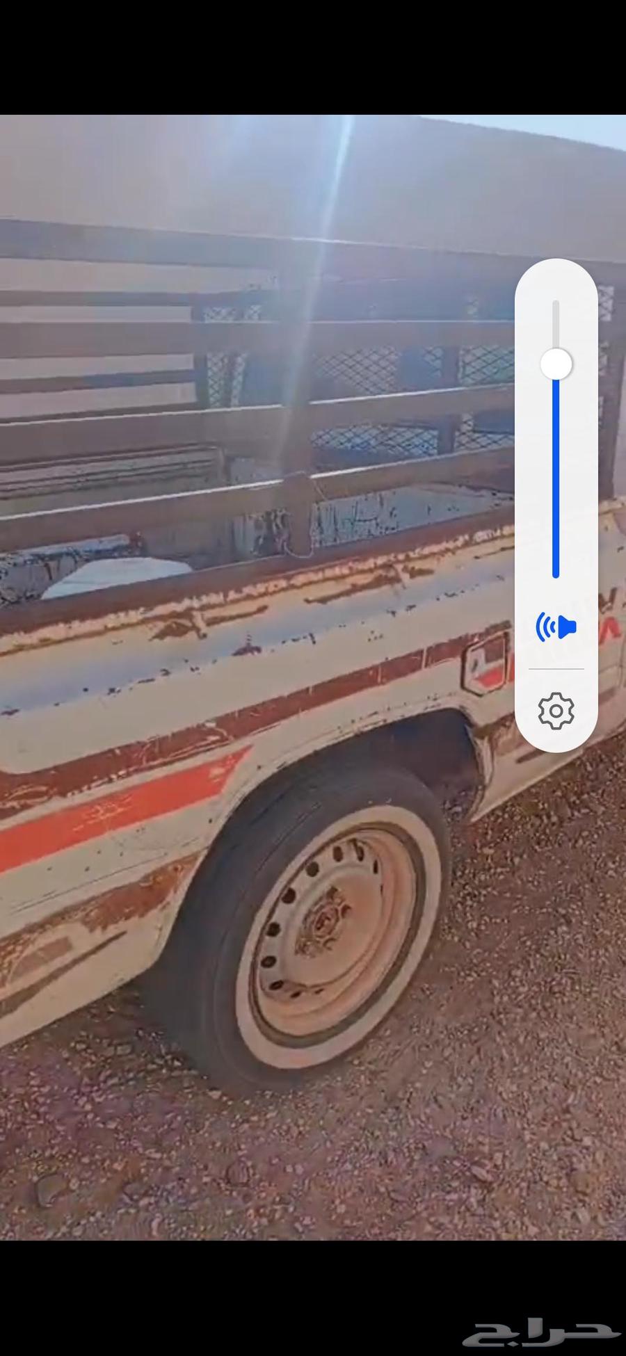 للبيع شياه 2 وعنز ولد معه خروف64388729604099114