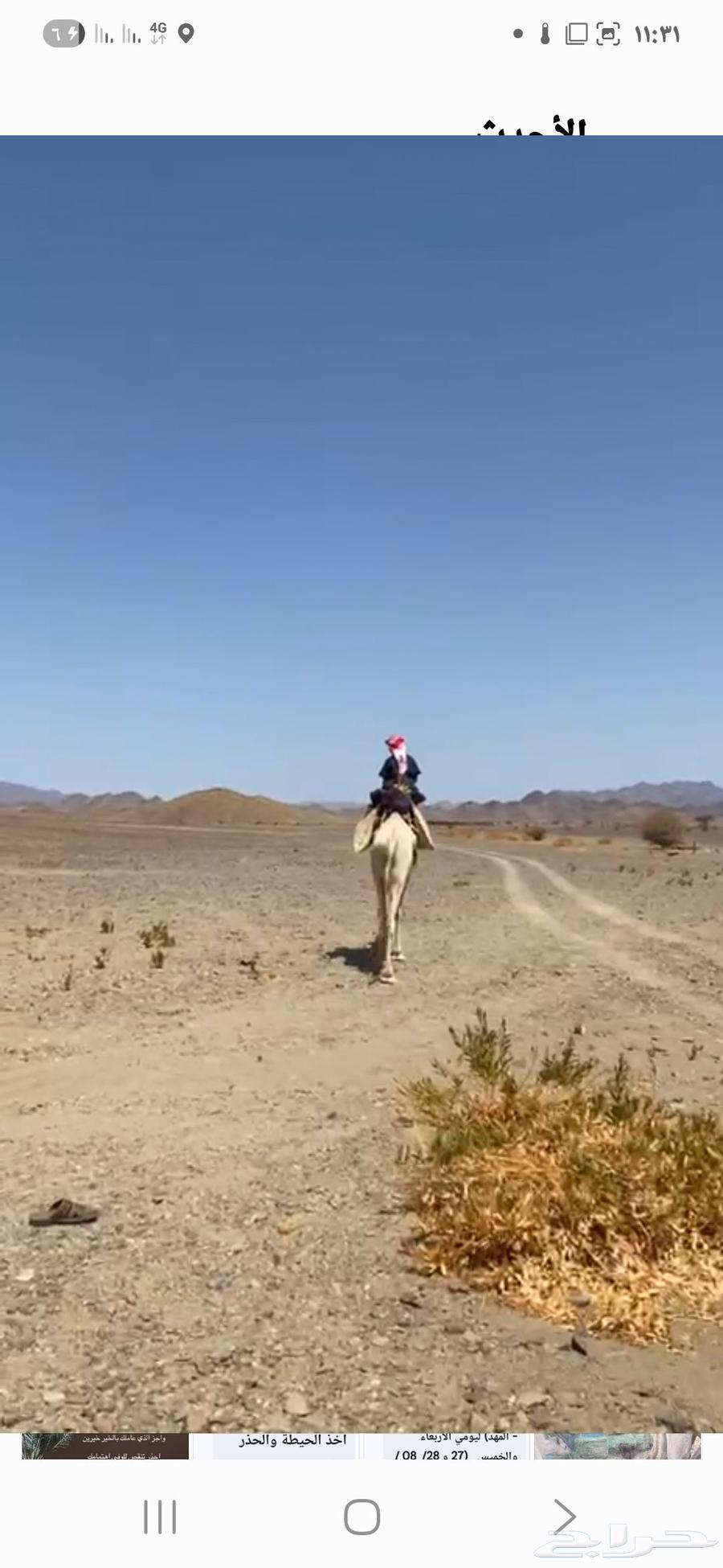 للبيع ركبي طابع للشدد64382637950978110