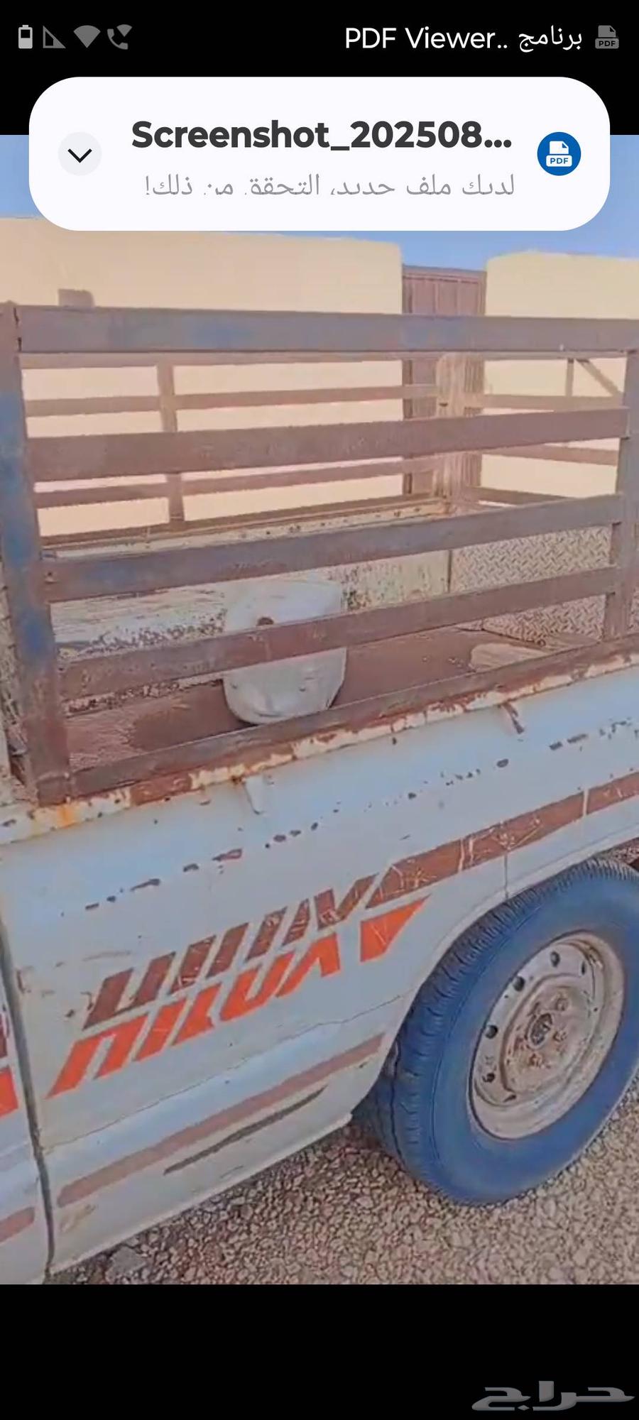 للبيع غنم وسياره64388949624835113