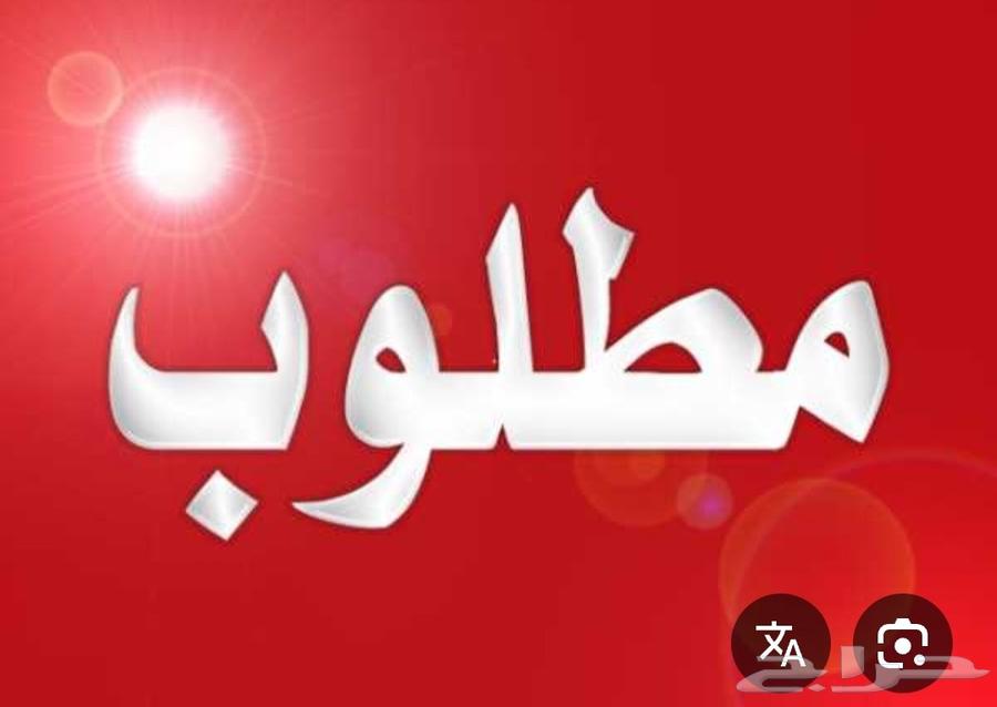 Bachelor room required or workers accommodation for 2 workers in Al-Khabeep neighborhood and surrounding areas63613881139458110