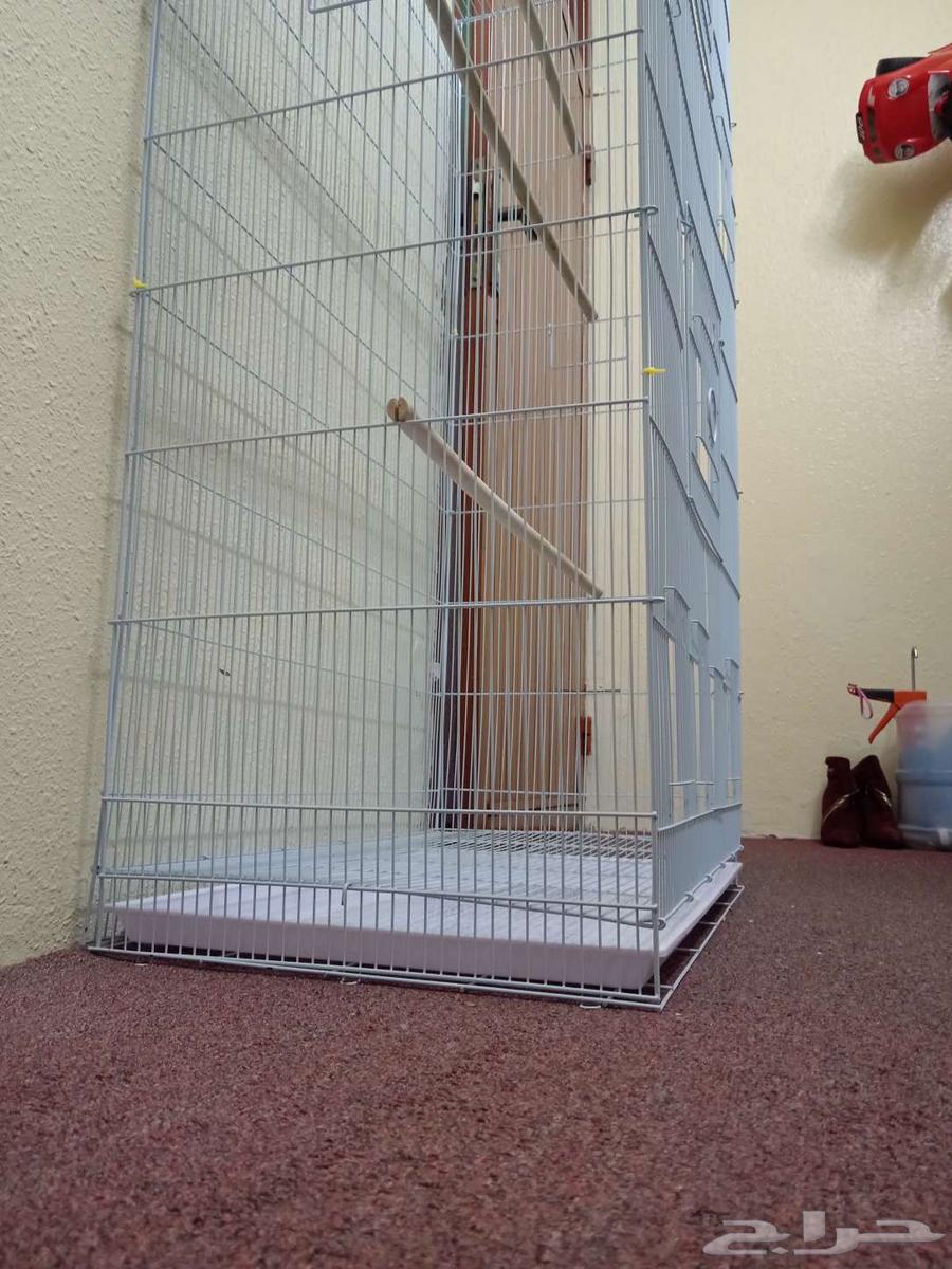 مطير (قفص كبير وطويل)64385523352578114