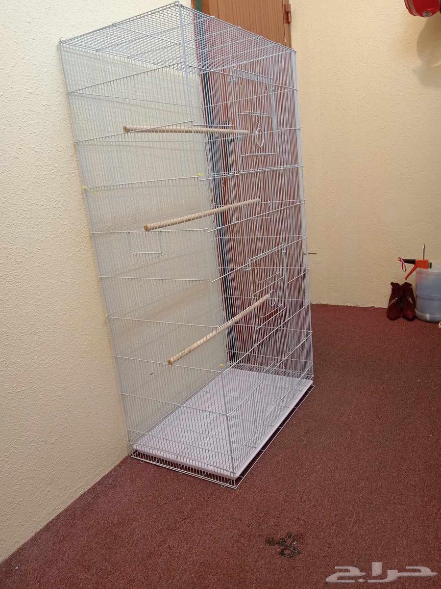 مطير (قفص كبير وطويل)64385523352578111