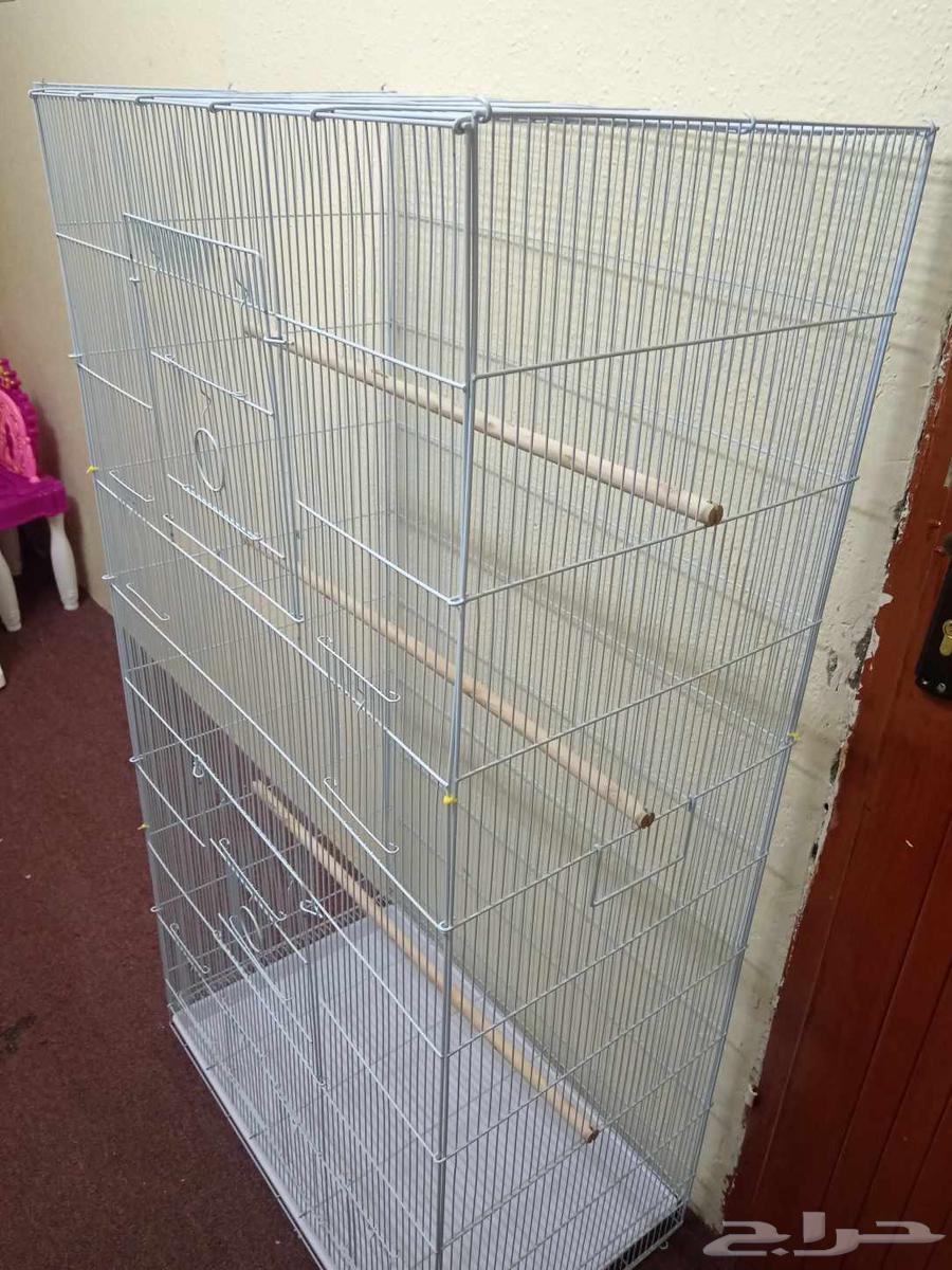مطير (قفص كبير وطويل)64385523352578113
