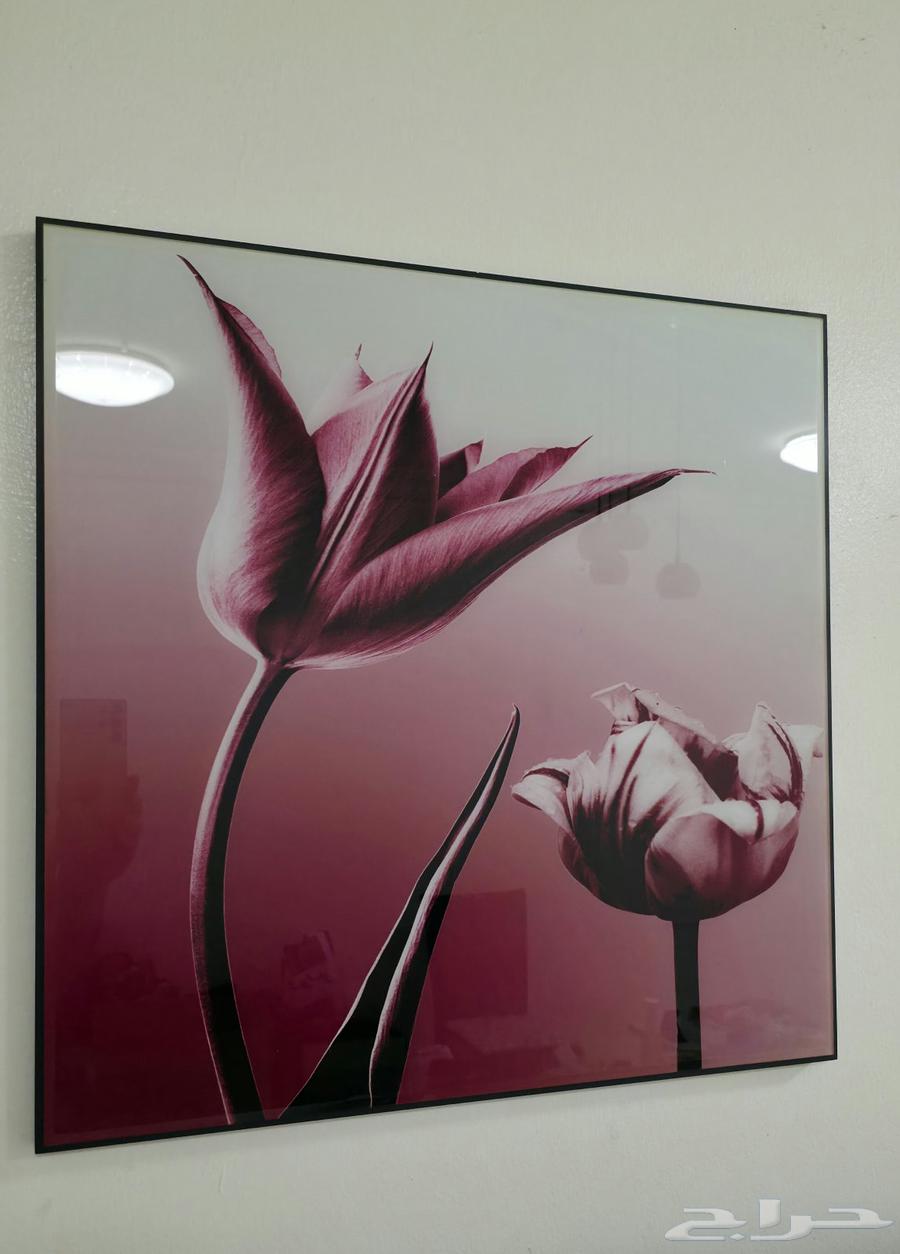 لوحه جميله برواز جداري64378920114562111