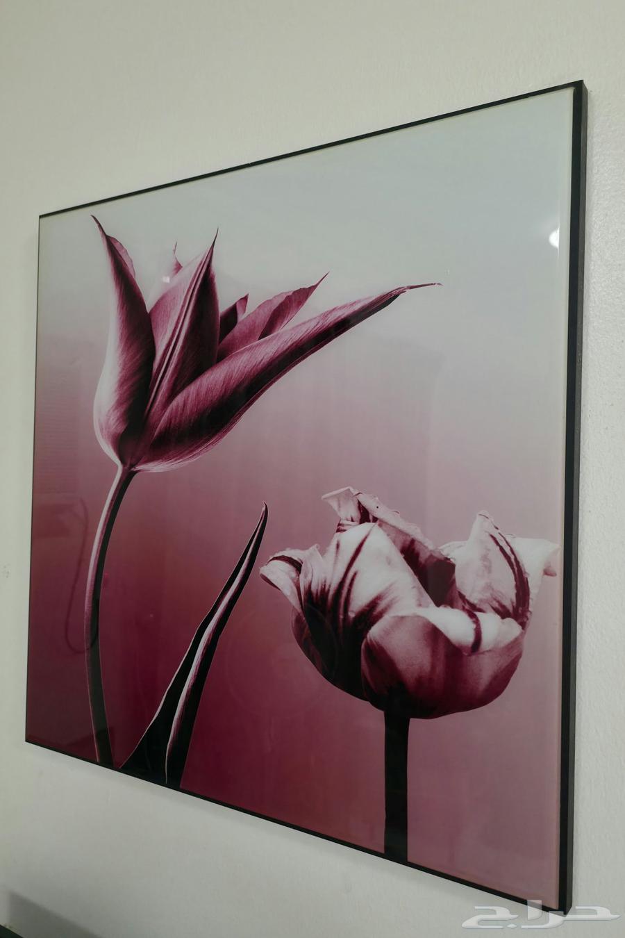 لوحه جميله برواز جداري64378920114562110