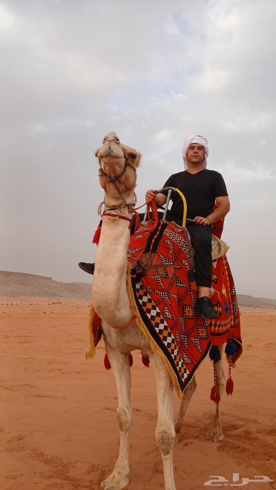 Rent camels, horses, and tanks today, this week64384217719554111