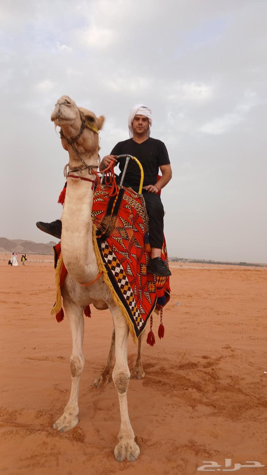 Rent camels, horses, and tanks today, this week64384217719554112