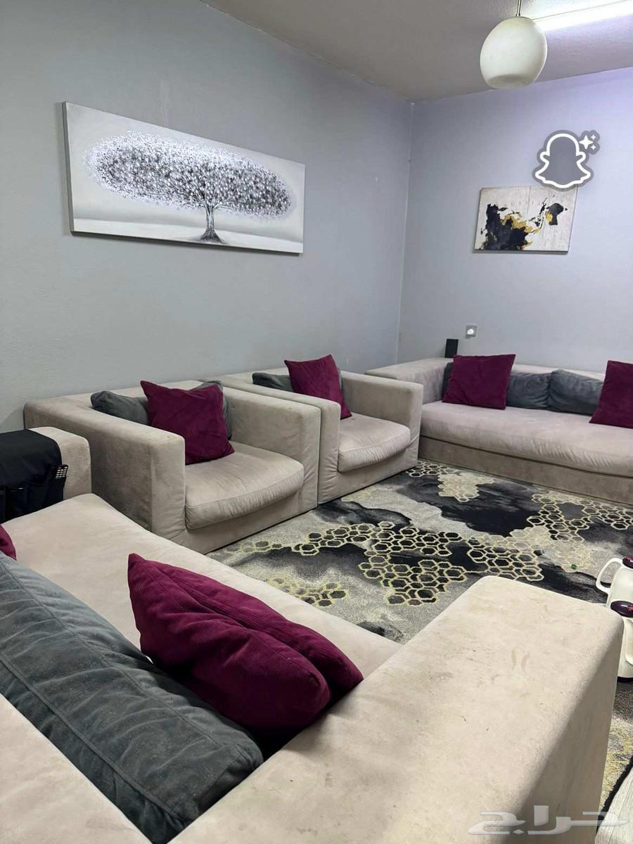 كنب أمريكي نظيف64387536763267111