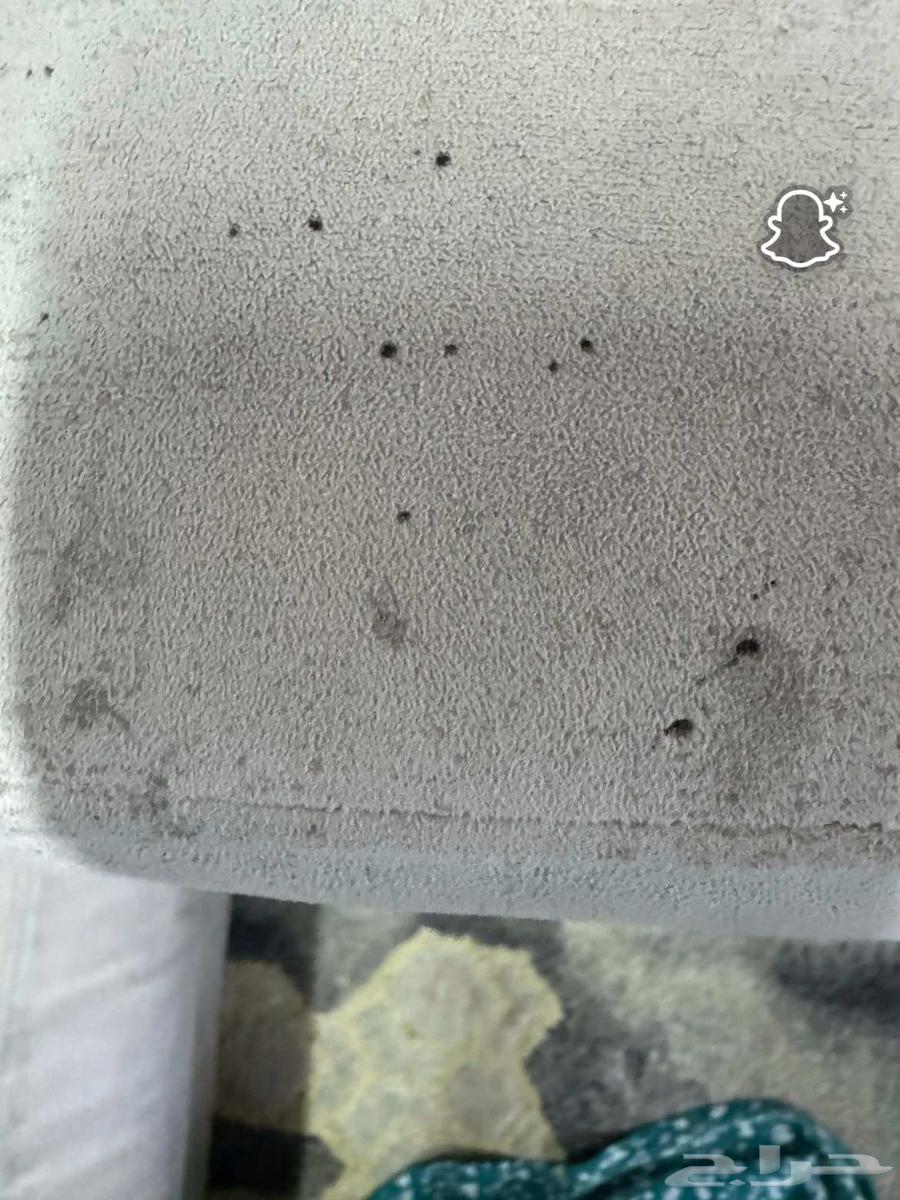 كنب أمريكي نظيف64387536763267112