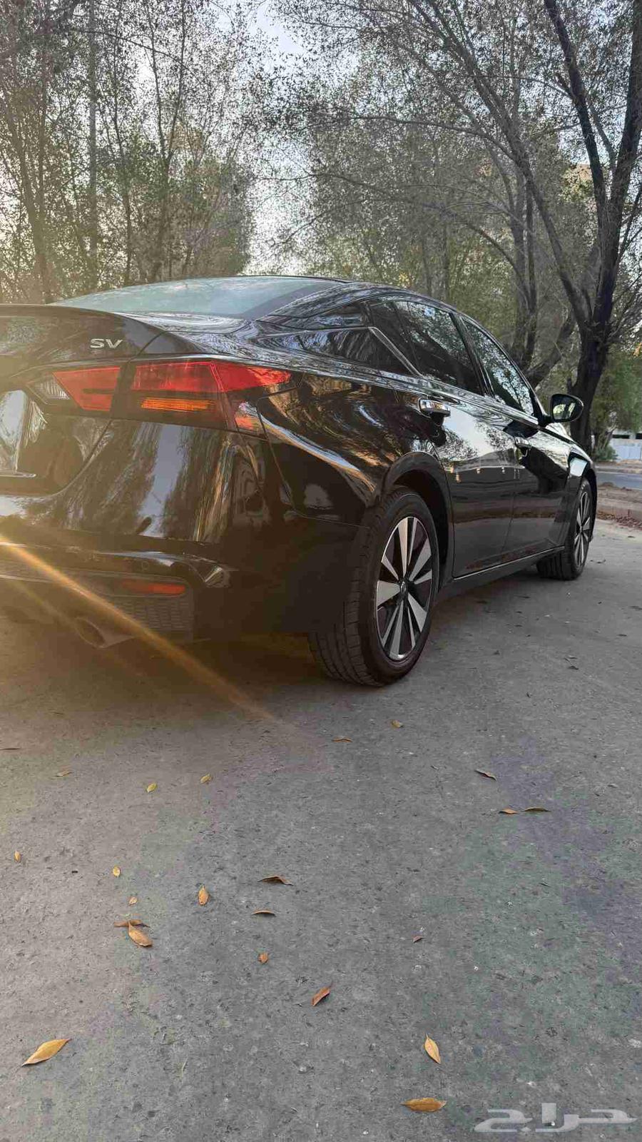 Altema64536320980739114