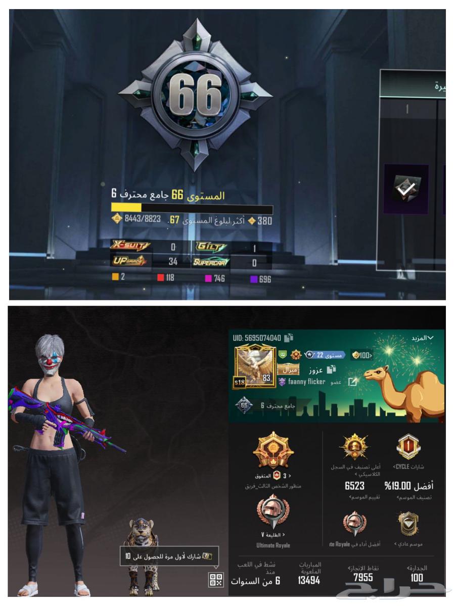 حساب ببجي للبيع64378920035330110