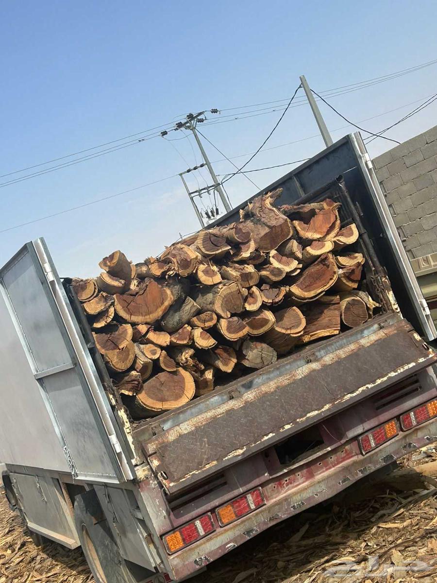 ح. ط. ب سمر مبروم شلايخ ارطى64529405468033113