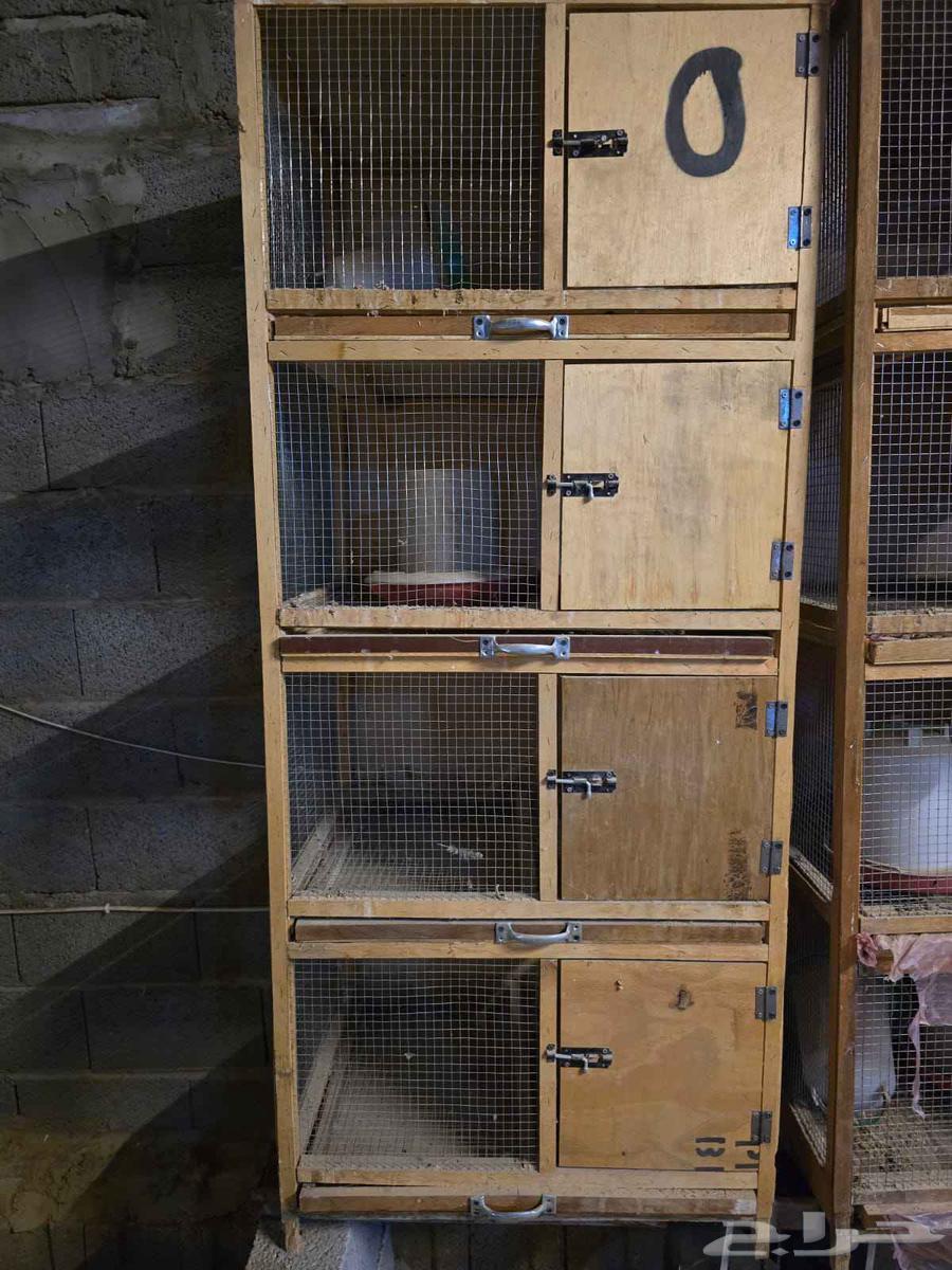 محاكر خشب للبيع64383885289603110