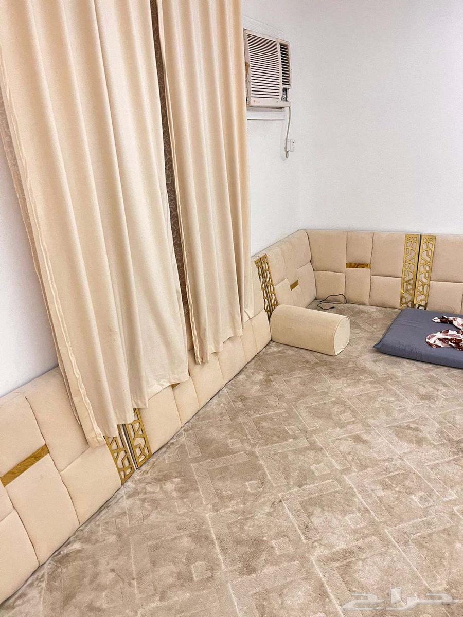 مساندضهرللبيع64392114549507110