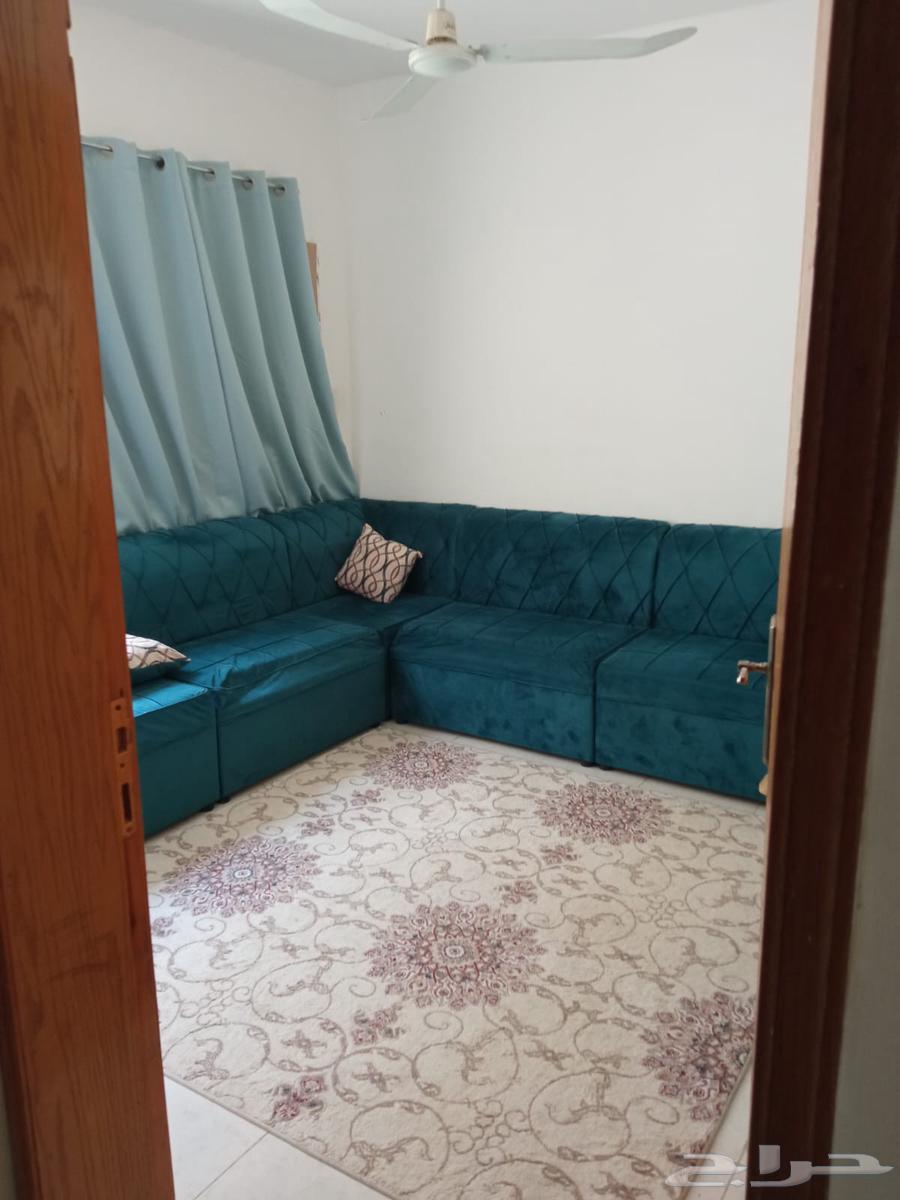 Corner sofa for sale with carpet, curtain and table - Aqla64377019216641110