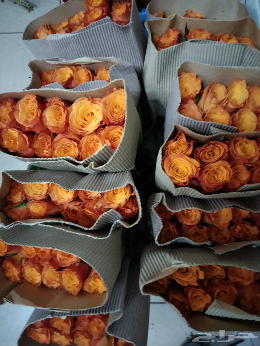 فل ورد64383428336643114