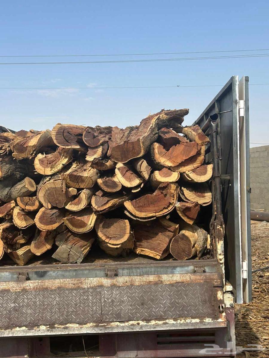 ح. ط. ب سمر مبروم شلايخ ارطى64529405468033112