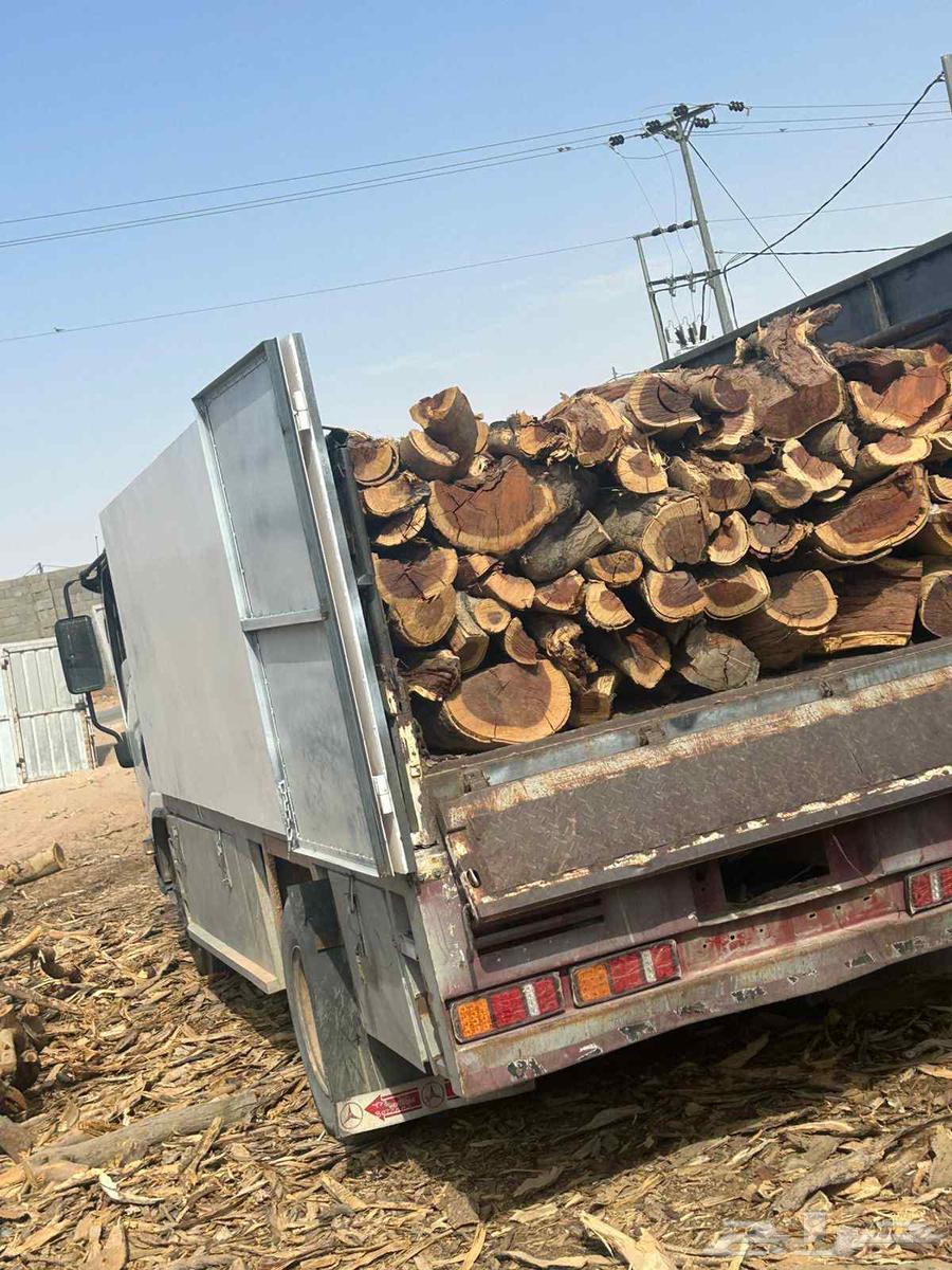 ح. ط. ب سمر مبروم شلايخ ارطى64529405468033114