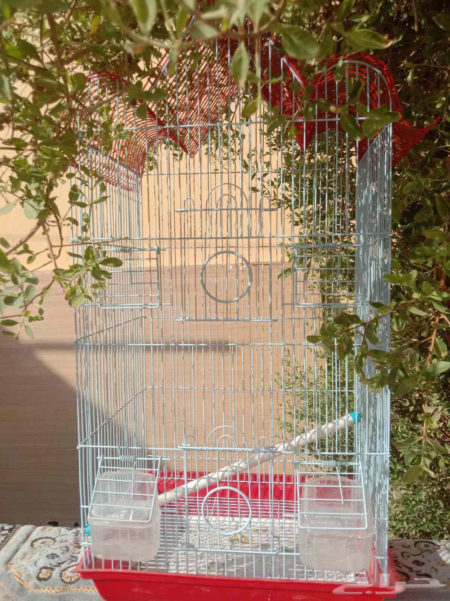A large, tall, and clean cage: one for 80 riyals, two for 15064388329859459110