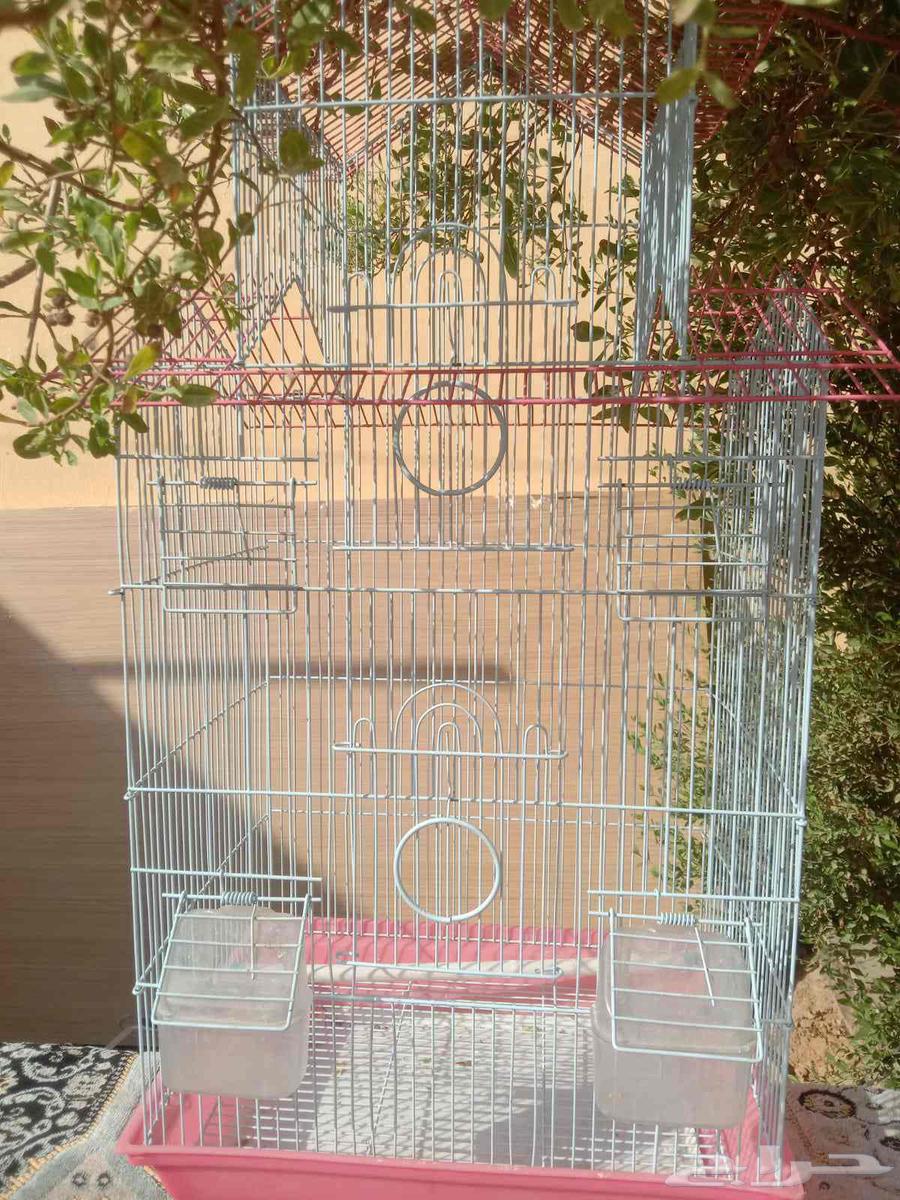 A large, tall, and clean cage: one for 80 riyals, two for 15064388329859459112