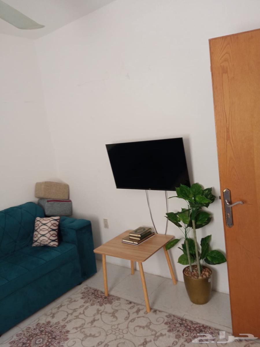 Corner sofa for sale with carpet, curtain and table - Aqla64377019216641112