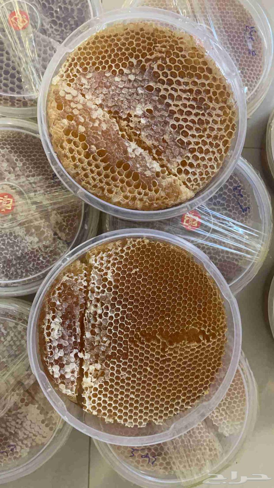 Dhooan Sidr Honey (Bughya) First Grade64381961777923114