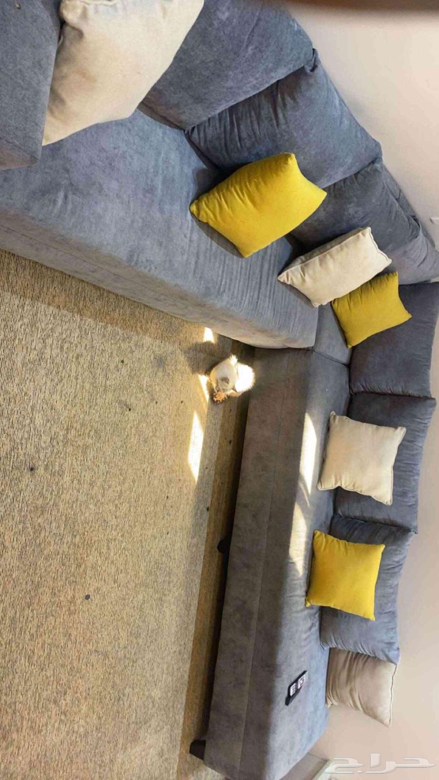 كنب للبيع64381754271619110