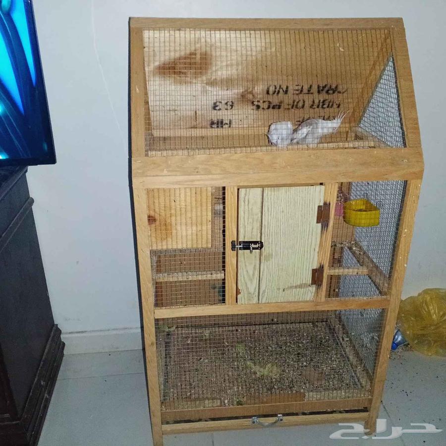 مطير للبيع64380566021250110