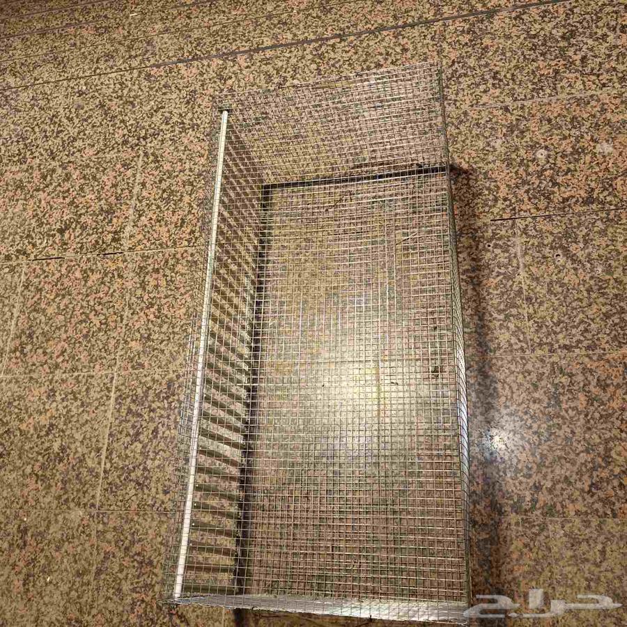 مصيدة طيور64380107329538110