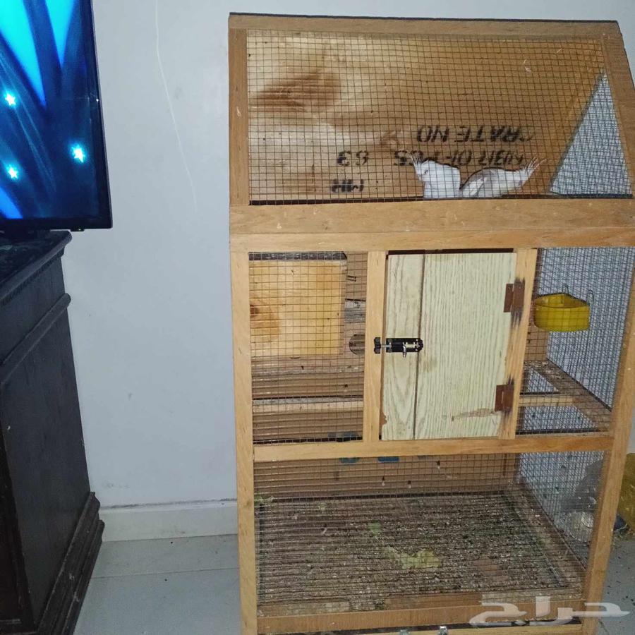 مطير للبيع64380566021250112