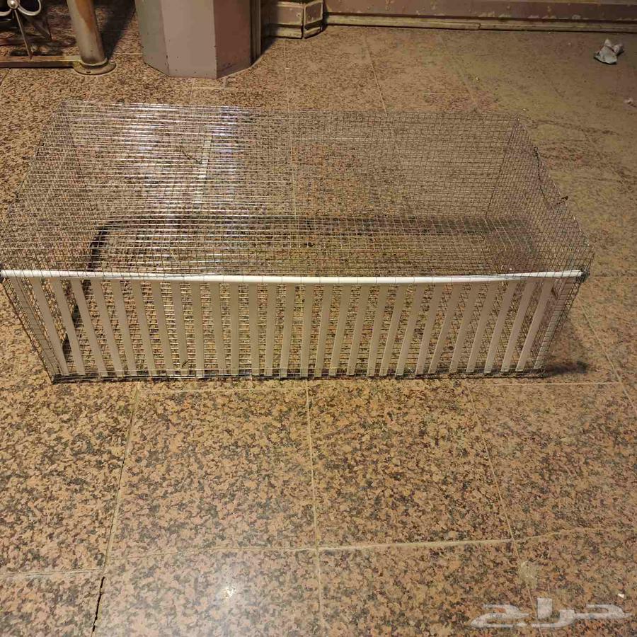 مصيدة طيور64380107329538111