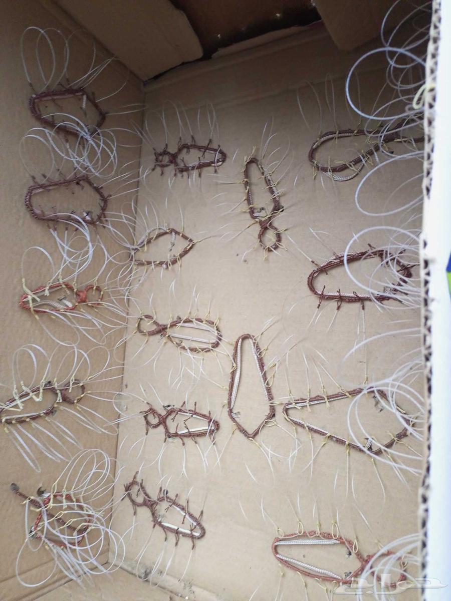 Hawk Trapping Net64391388627331112